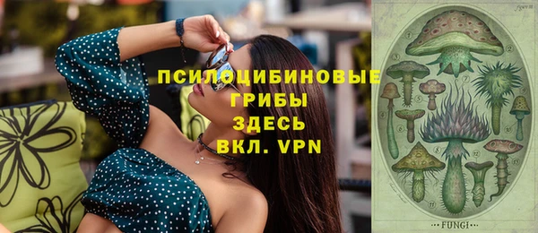 гашик Зеленодольск